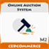 Online Auction System