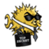 OpenSSH