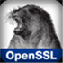 OpenSSL