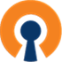 OpenVPN