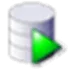 Oracle SQL Developer logo