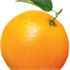 Orange Manager