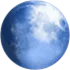 Pale Moon logo