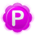 Pamela for Skype