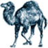 Perl