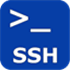 Persistent SSH