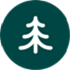 Pine
