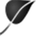 PluXml