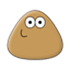 Pou