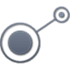 Procyon