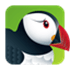Puffin