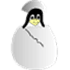 QtMoko