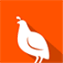 Quail