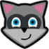 Raccoon