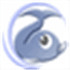 Rapid Typing Tutor