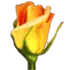 Rosegarden logo