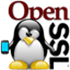 s_client