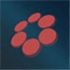 SavvyConnect