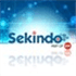 Sekindo - Universal McCann