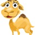 SEO camel