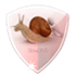 SlowDNS