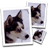 SmillaEnlarger