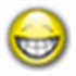 Snippet Compiler