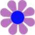 Soundflower