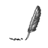 Speechnotes