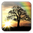 Sun Rise Live Wallpaper