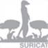 Suricata
