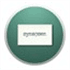 synapsen