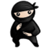 System Ninja