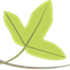 Tela Botanica
