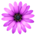TextMate