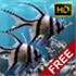 The real aquarium HD