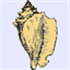 the xonsh shell