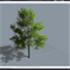 Treeit