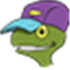 Turtle Sport
