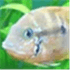 Urho3D
