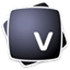 Vectoraster