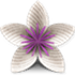 Vellum