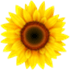VideoPsalm