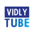 VidlyTube