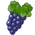 Vineyard