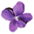 Violet UML Editor