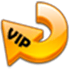 VIP Video Converter