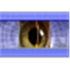 Vision Defense