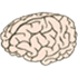 Voc2brain
