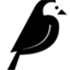 Wagtail CMS